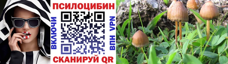 Галлюциногенные грибы Psilocybine cubensis  дарнет шоп  MEGA рабочий сайт  Красноармейск 